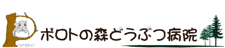 ポロトの森どうぶつ病院